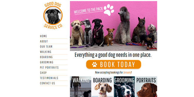 citymaker example of a dog services website